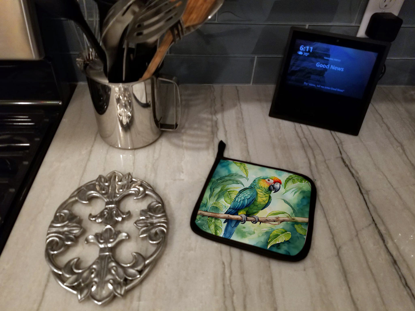 Amazon Parrot Pair of Pot Holders