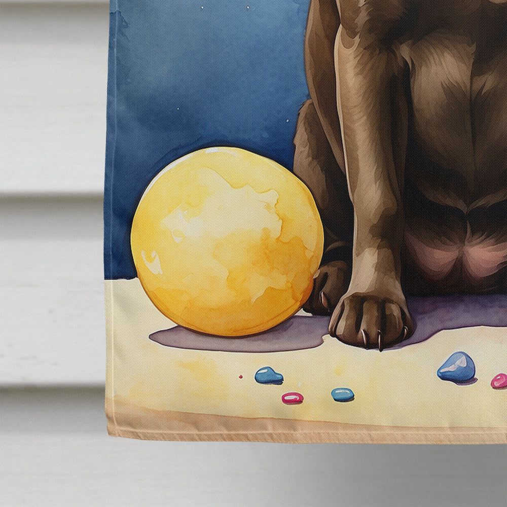 Chocolate Labrador Retriever Happy Birthday House Flag