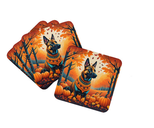 Buy this Belgian Malinois Fall Foam Coasters