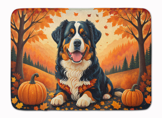 Buy this Bernese Mountain Dog Fall Memory Foam Kitchen Mat