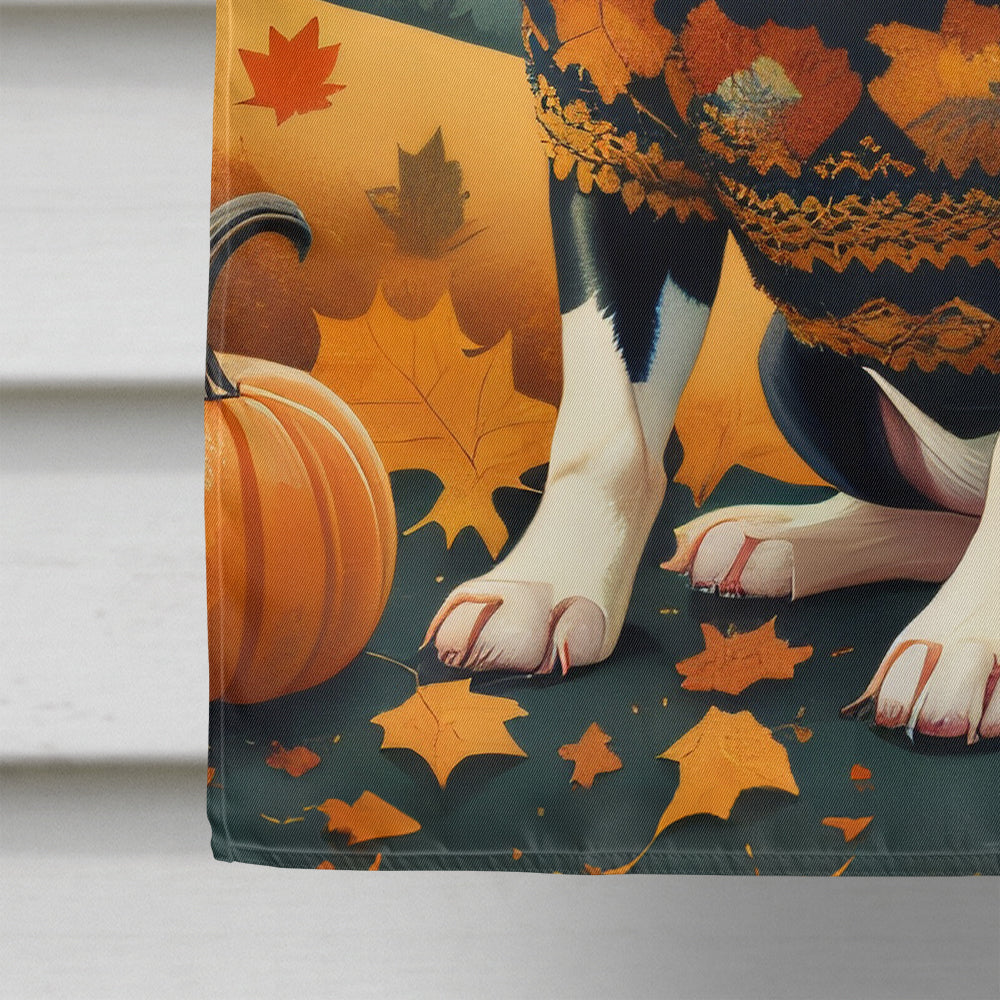 Boston Terrier Fall House Flag