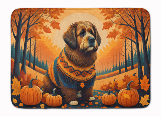 Buy this Briard Fall Memory Foam Kitchen Mat