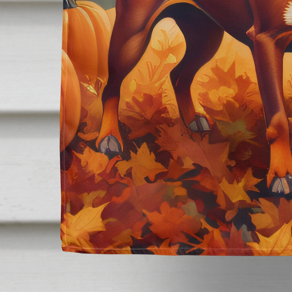 Red Miniature Pinscher Fall House Flag