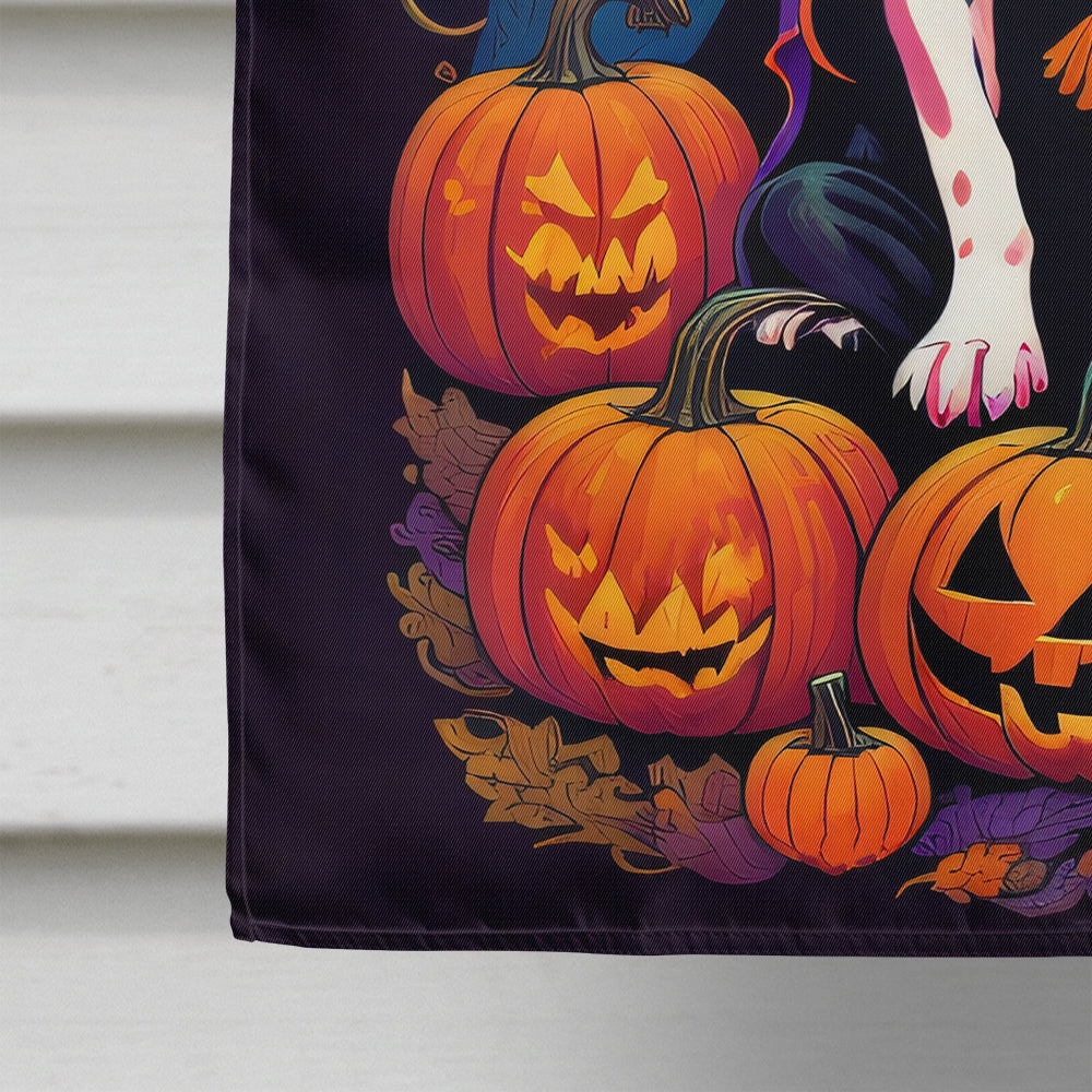Pit Bull Terrier Witchy Halloween House Flag