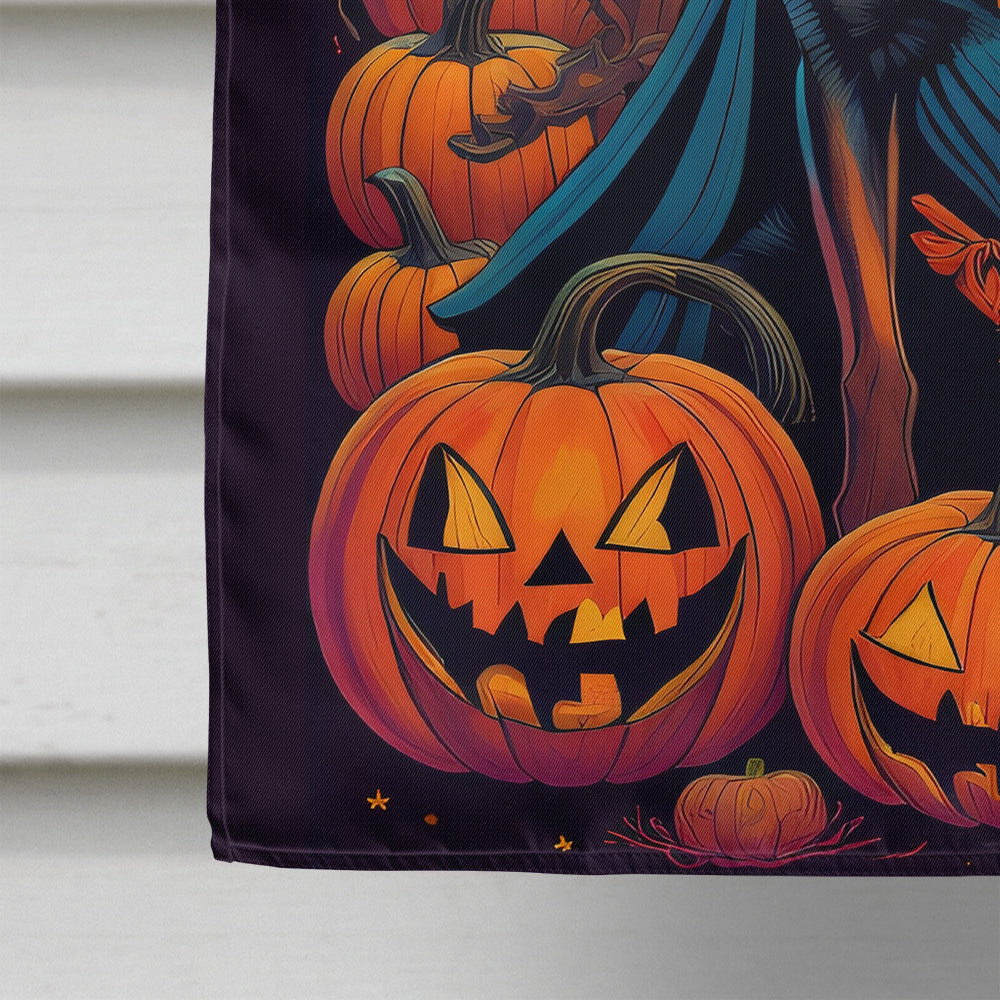 Belgian Malinois Witchy Halloween House Flag