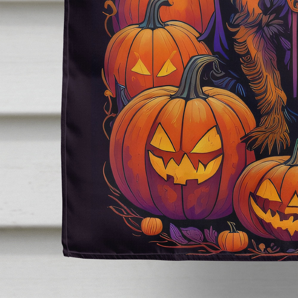 Border Terrier Witchy Halloween House Flag
