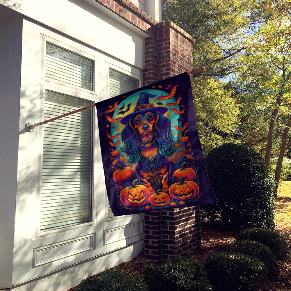 Longhair Black and Tan Dachshund Witchy Halloween House Flag