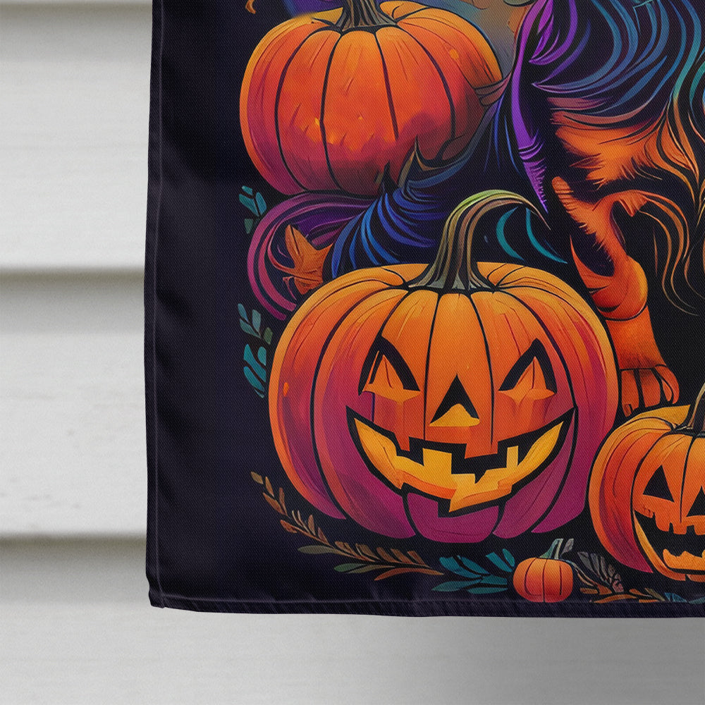 Longhair Black and Tan Dachshund Witchy Halloween House Flag
