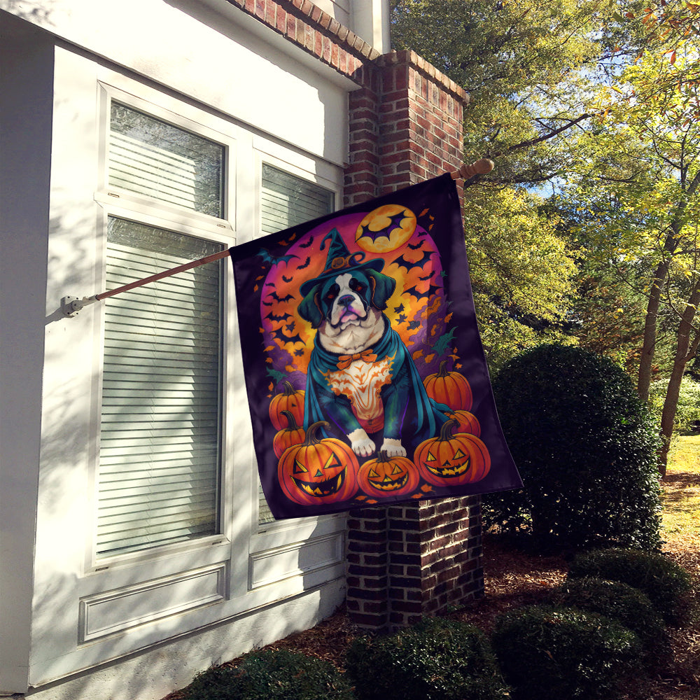 Saint Bernard Witchy Halloween House Flag