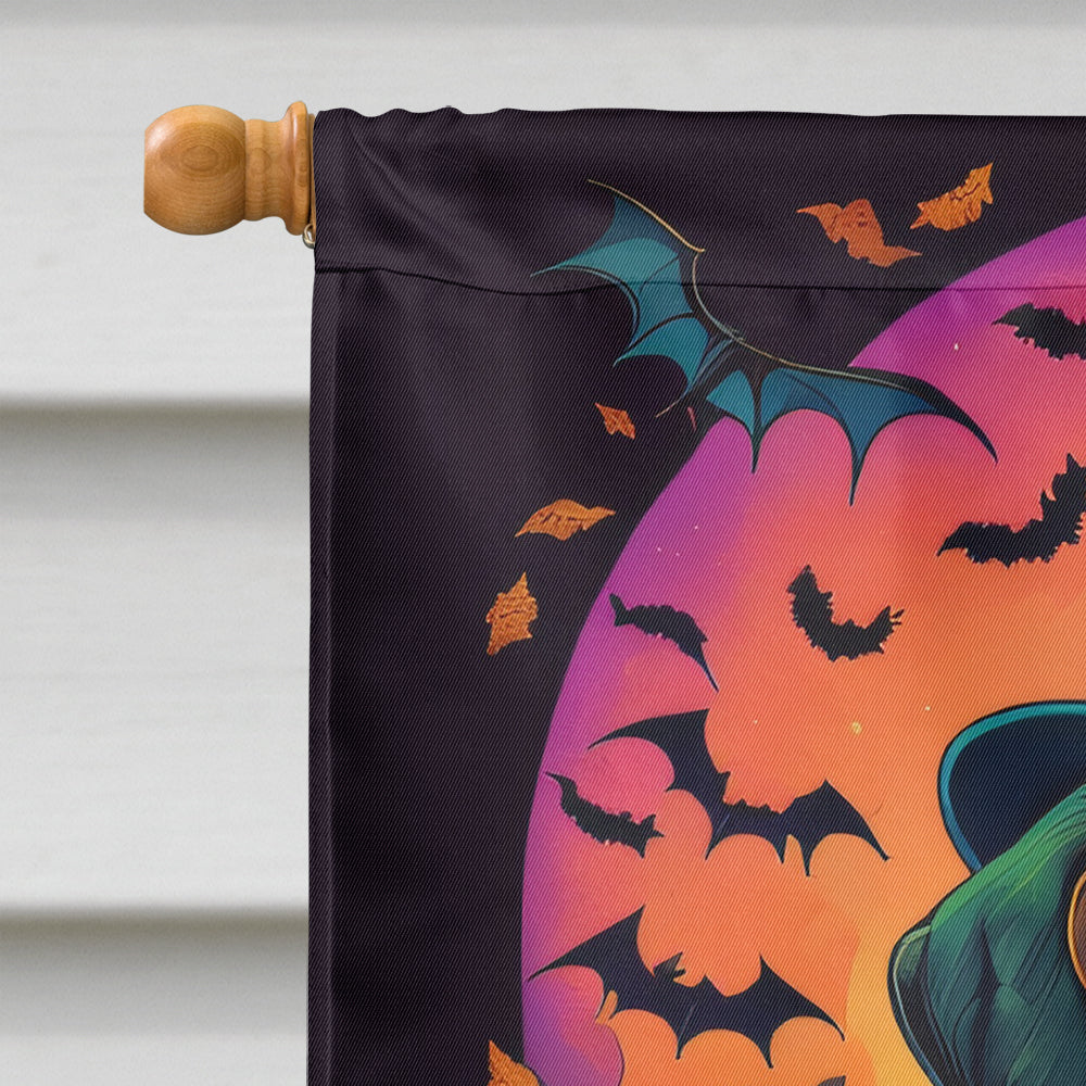 Saint Bernard Witchy Halloween House Flag