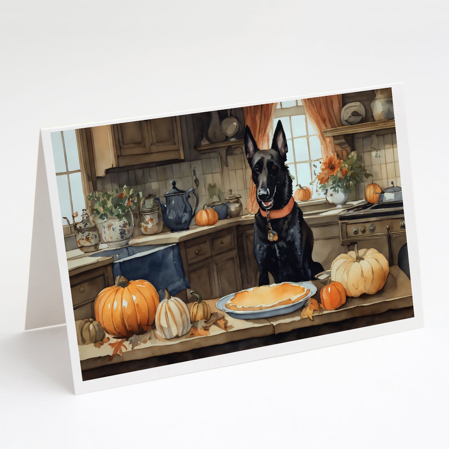 Buy this Belgian Malinois Fall Kitchen Pumpkins Greeting Cards and Envelopes Pack of 8