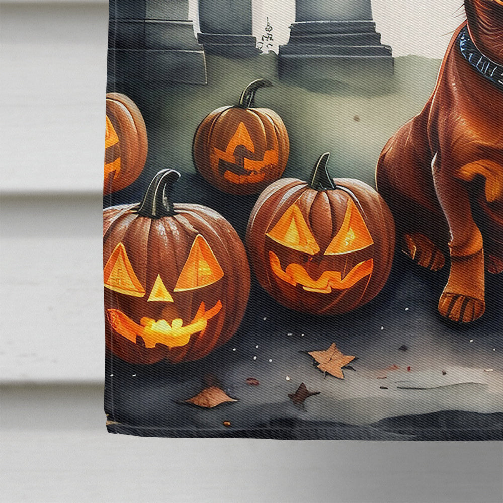 Dachshund Spooky Halloween House Flag