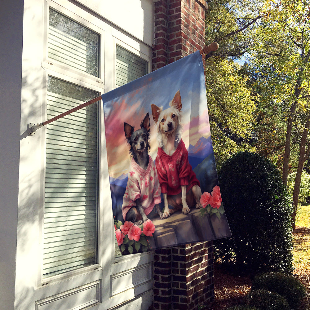 Chinese Crested Two Hearts House Flag