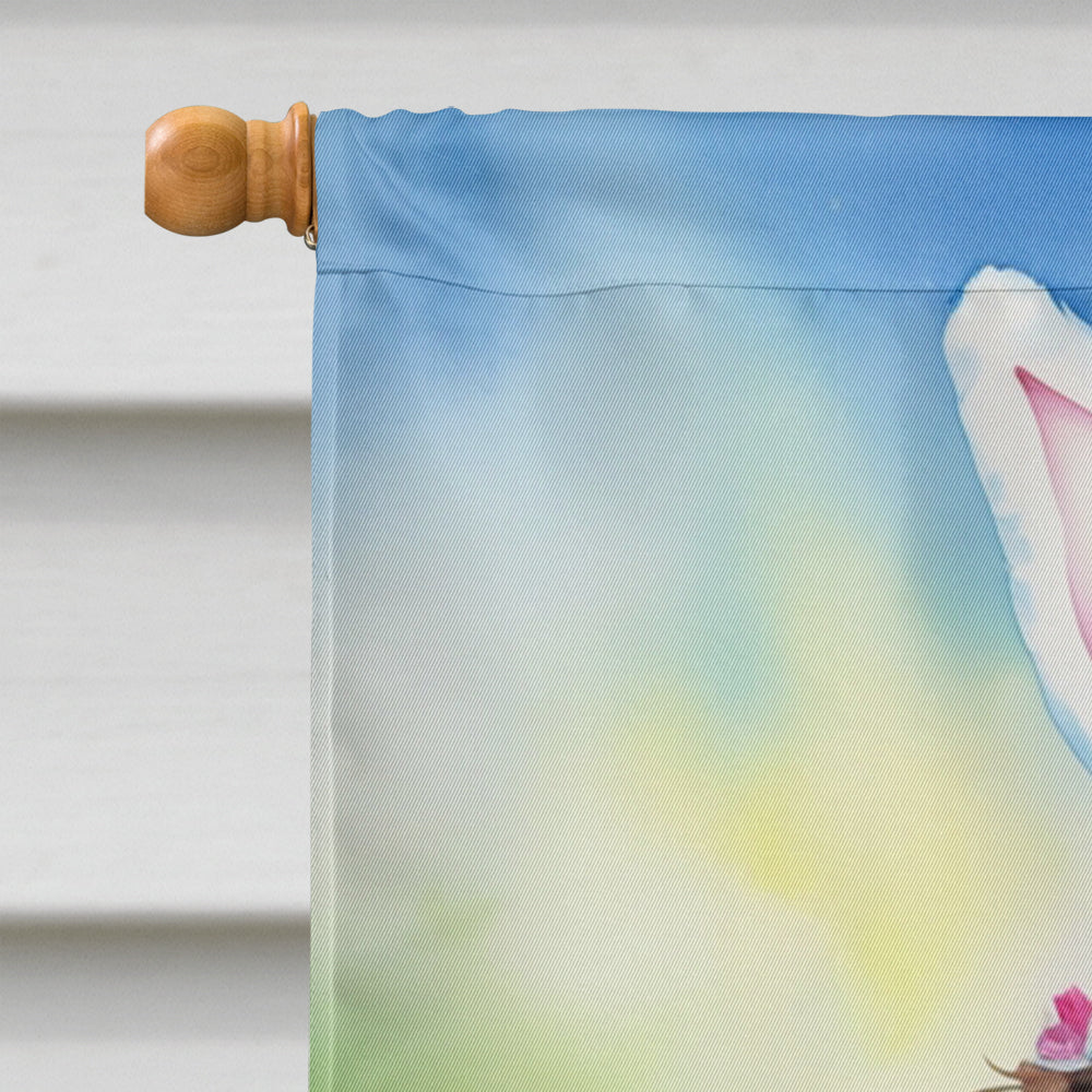 Water Spaniel Easter Egg Hunt House Flag