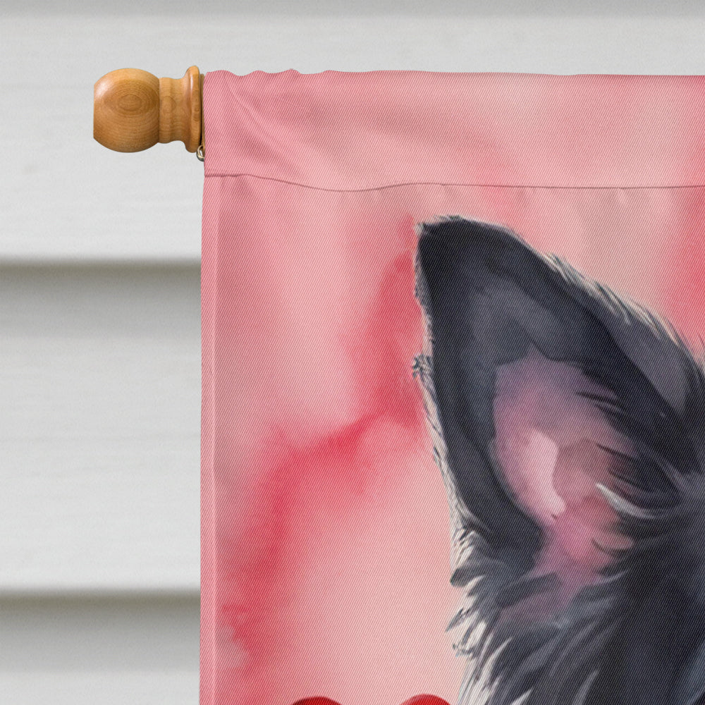 Border Collie My Valentine House Flag