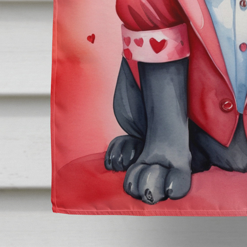 Cane Corso My Valentine House Flag