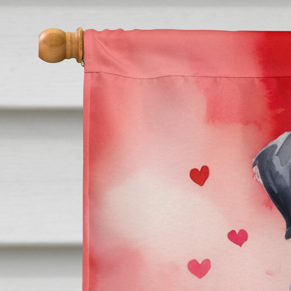 Giant Schnauzer My Valentine House Flag