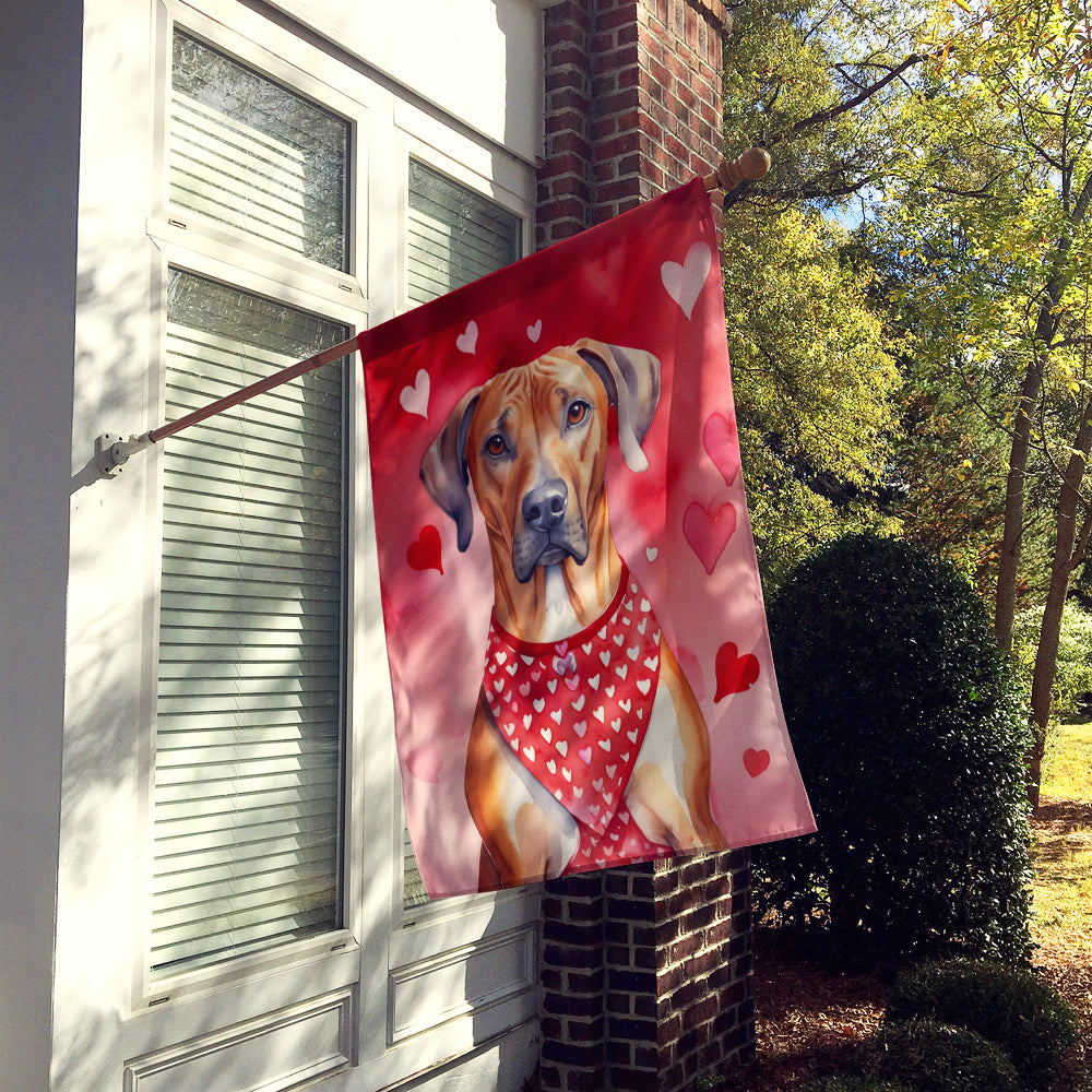 Rhodesian Ridgeback My Valentine House Flag