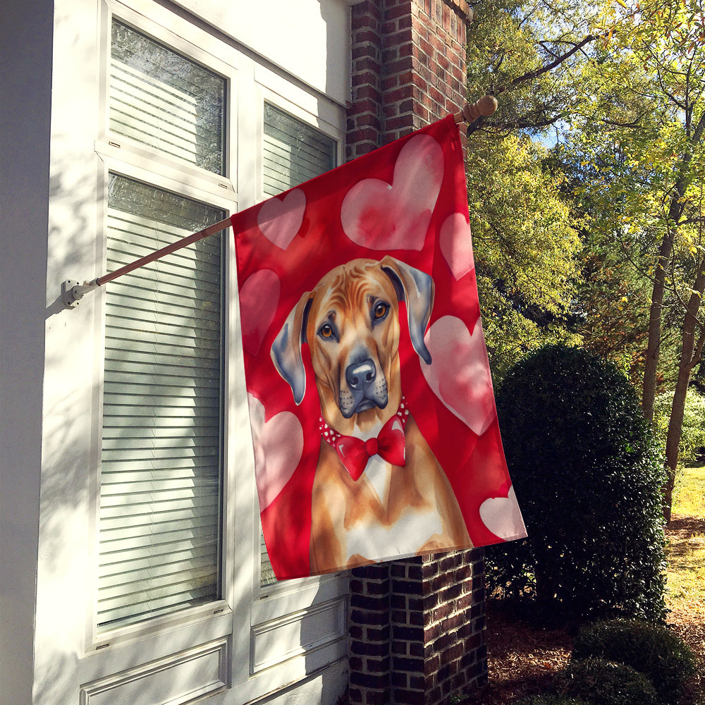Rhodesian Ridgeback My Valentine House Flag