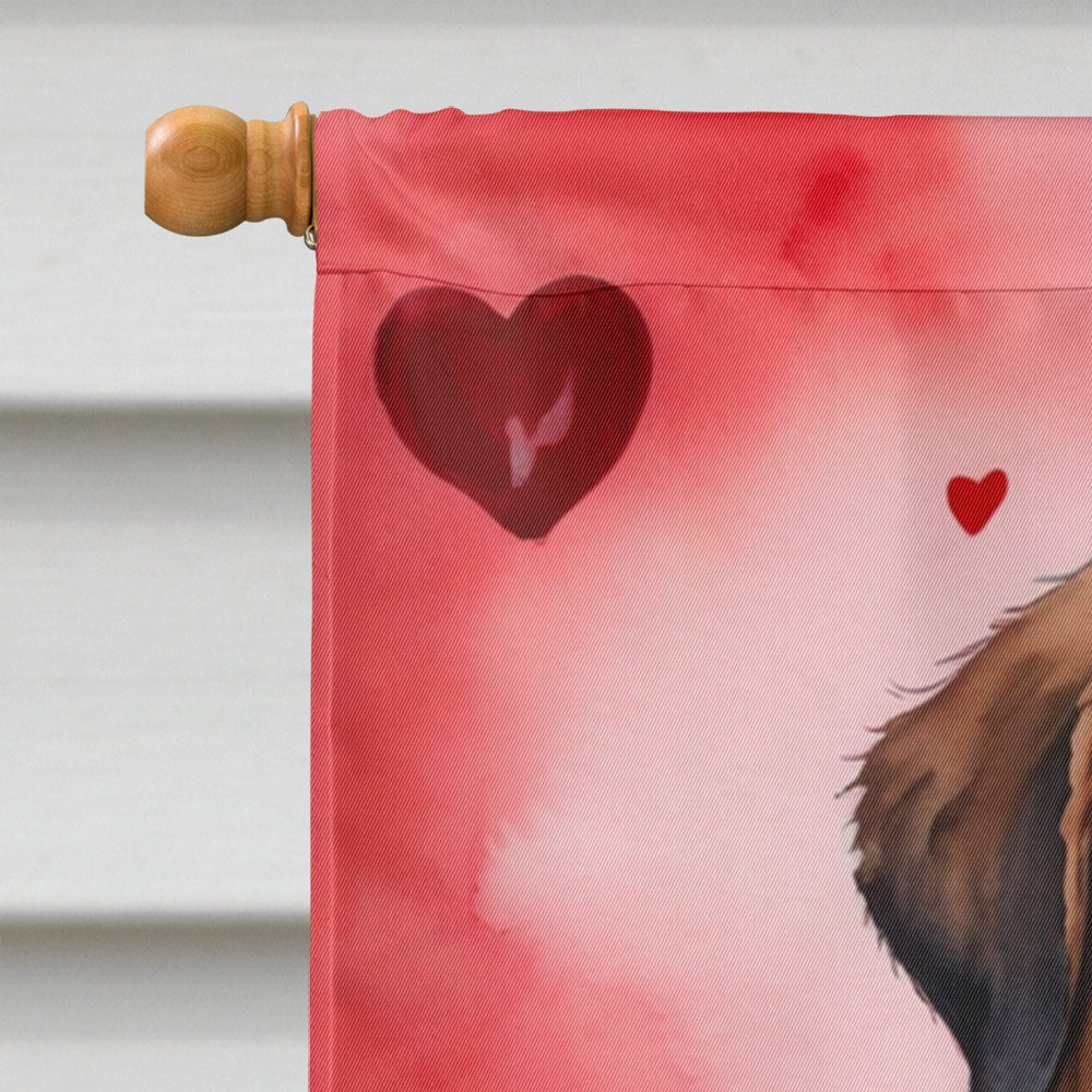 Saint Bernard My Valentine House Flag