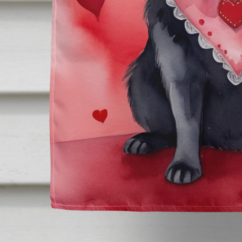 Schipperke My Valentine House Flag