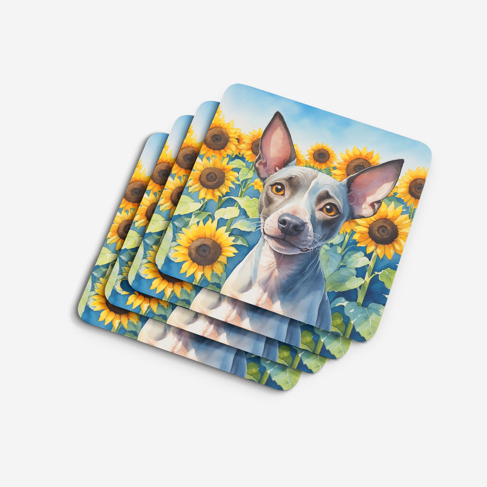 American Hairless Terrier in Sunflowers Foam Coasters