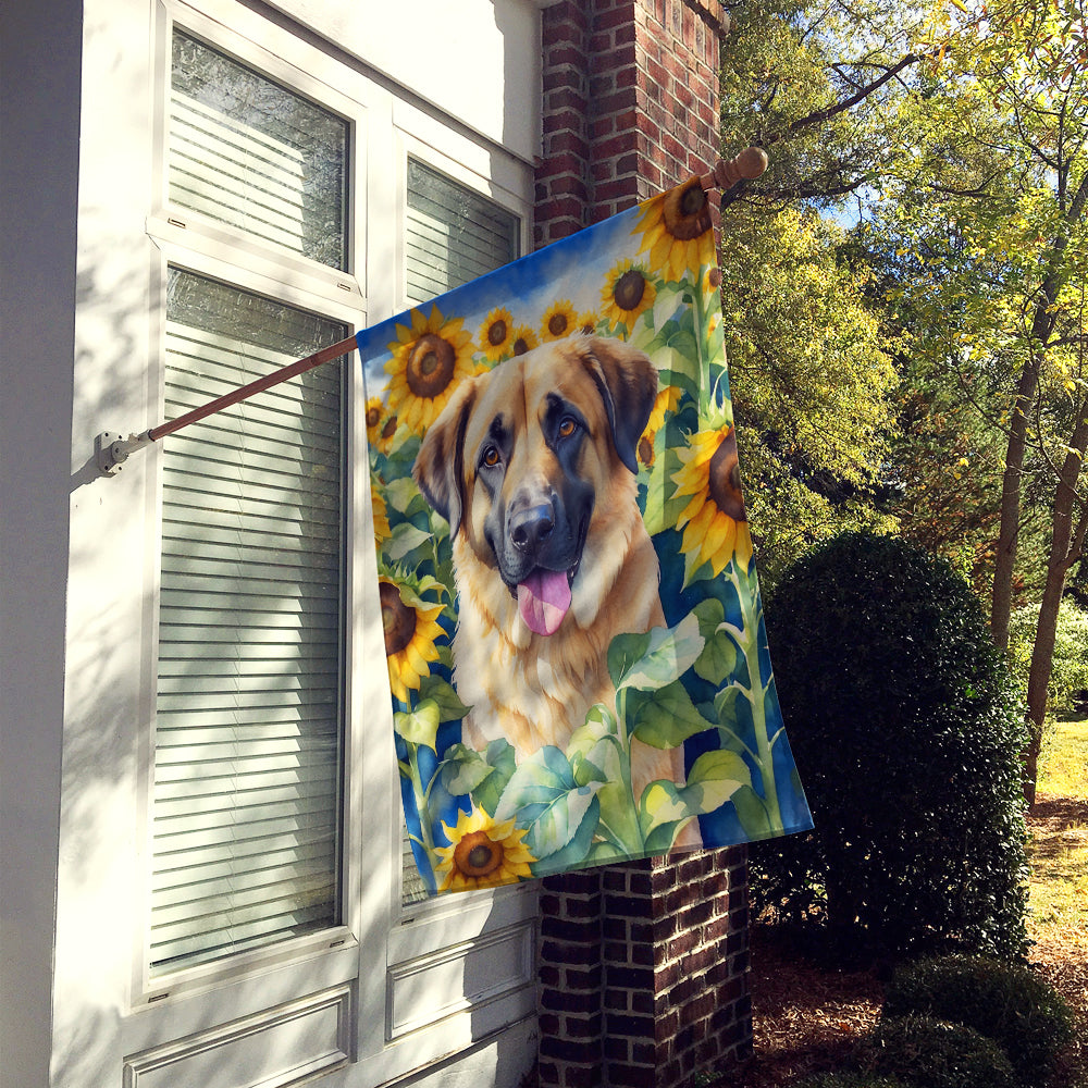 Anatolian Shepherd in Sunflowers House Flag