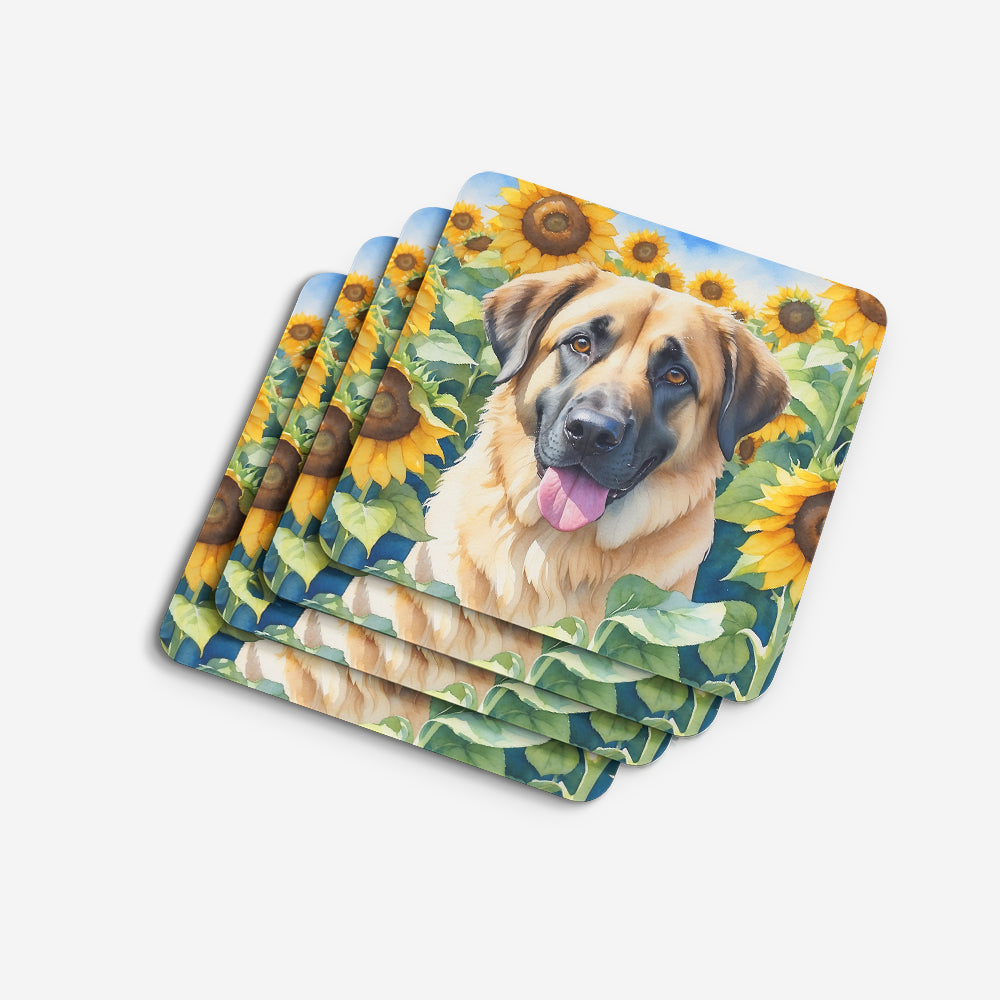Anatolian Shepherd in Sunflowers Foam Coasters
