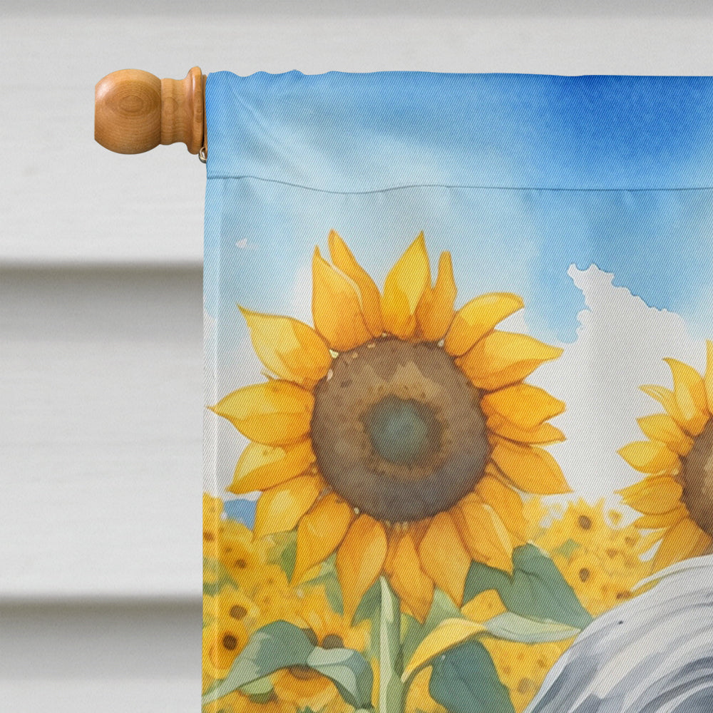 Bearded Collie in Sunflowers House Flag