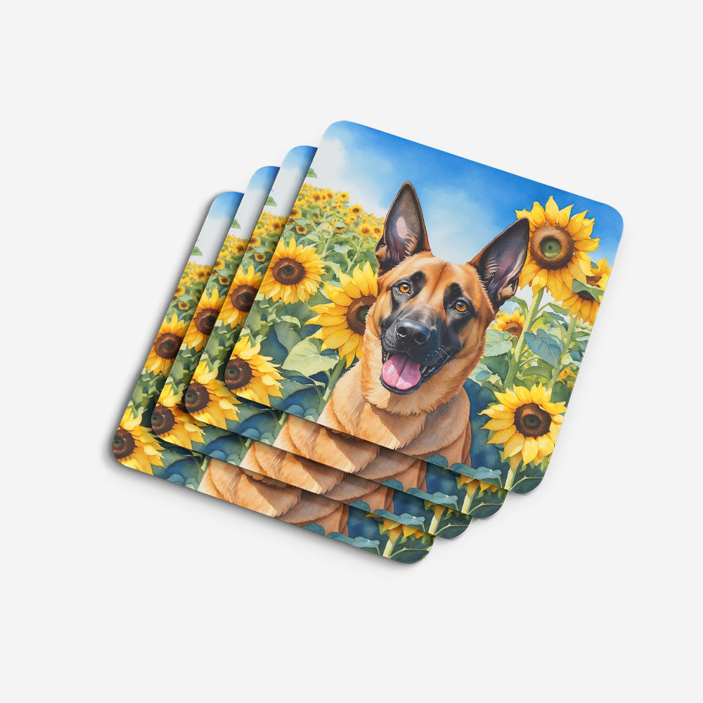 Belgian Malinois in Sunflowers Foam Coasters
