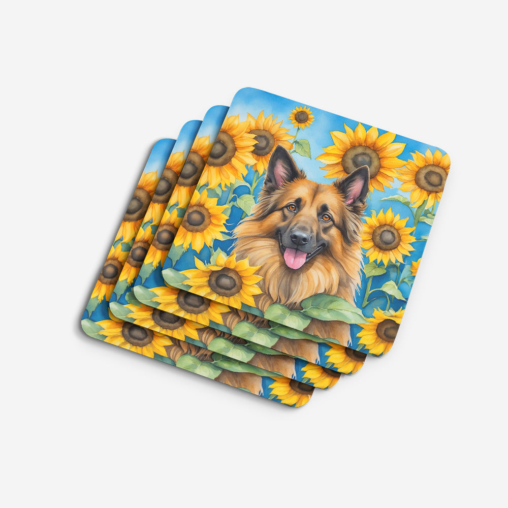 Belgian Tervuren in Sunflowers Foam Coasters