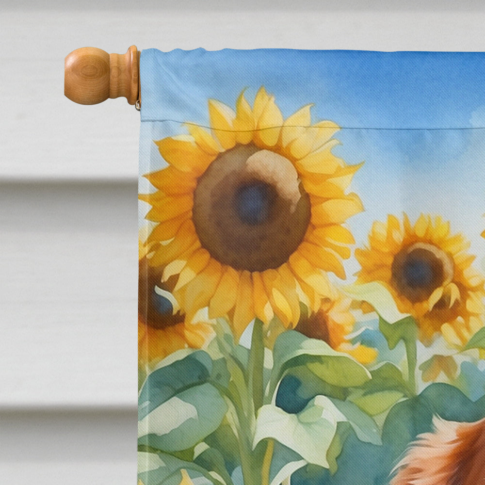 Brittany Spaniel in Sunflowers House Flag