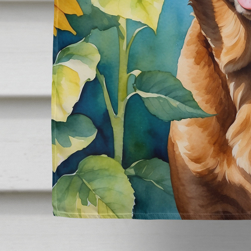 Chesapeake Bay Retriever in Sunflowers House Flag