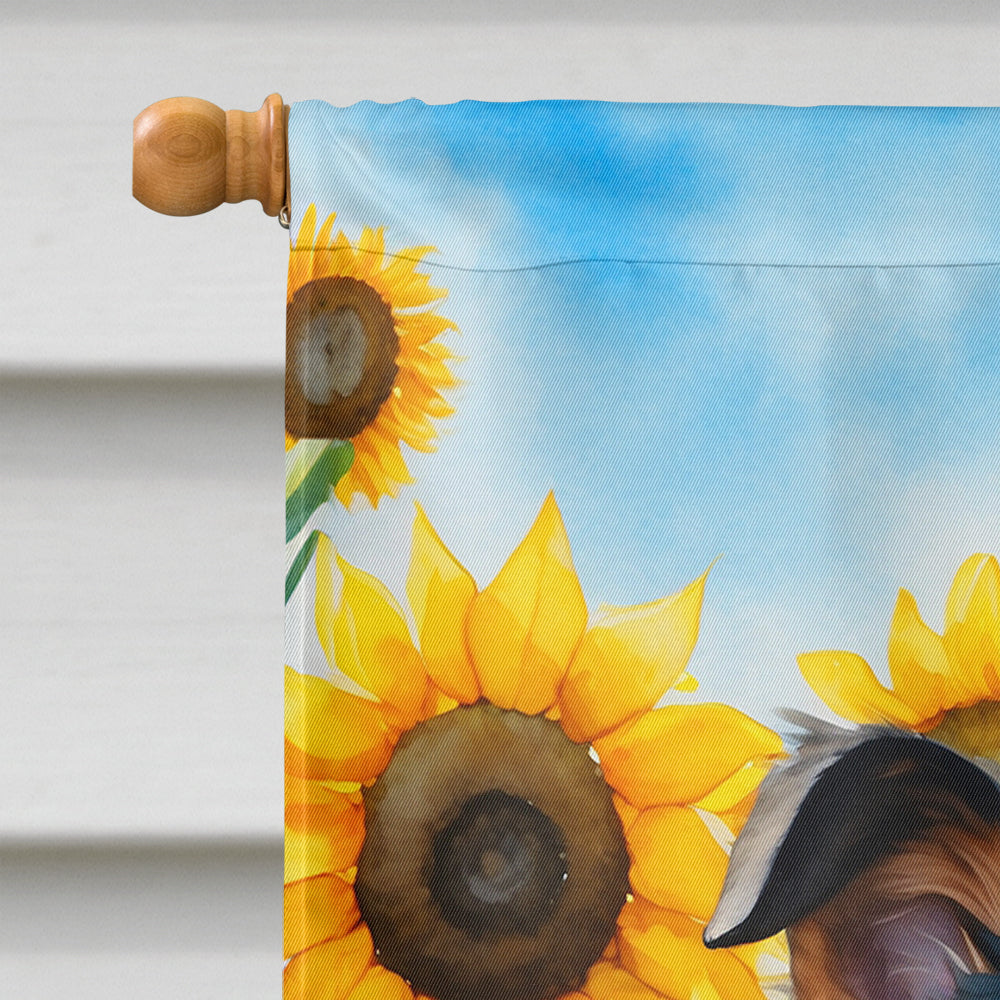 Collie in Sunflowers House Flag