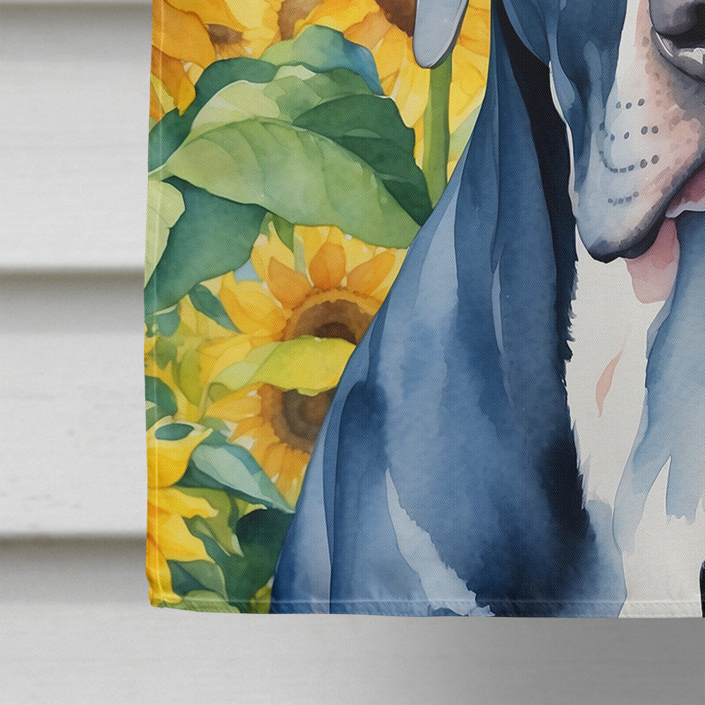 Great Dane in Sunflowers House Flag