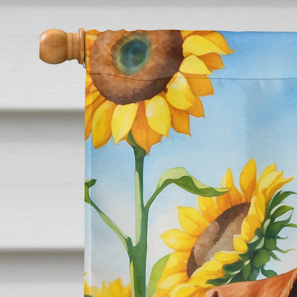 Irish Terrier in Sunflowers House Flag