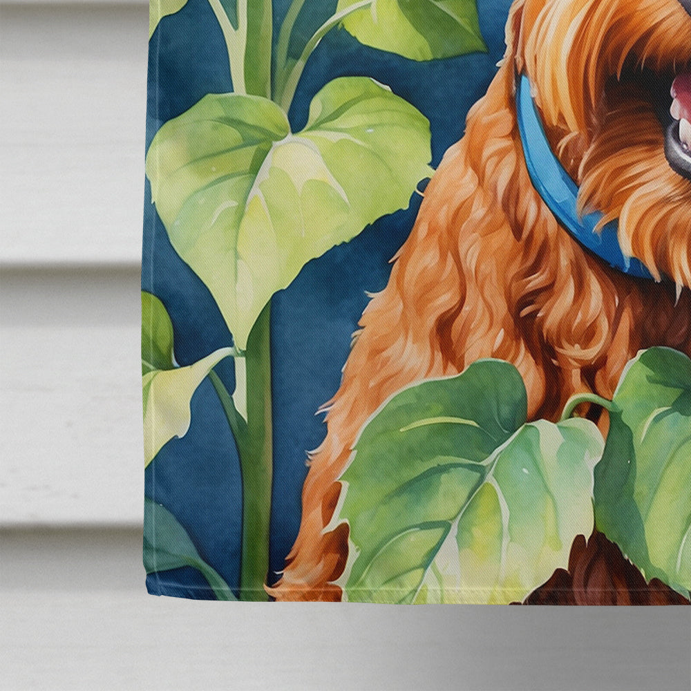 Irish Terrier in Sunflowers House Flag