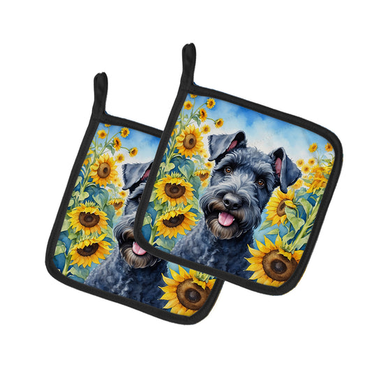 Buy this Kerry Blue Terrier in Sunflowers Pair of Pot Holders