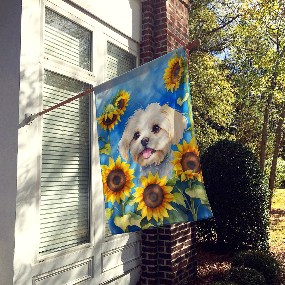 Maltese in Sunflowers House Flag