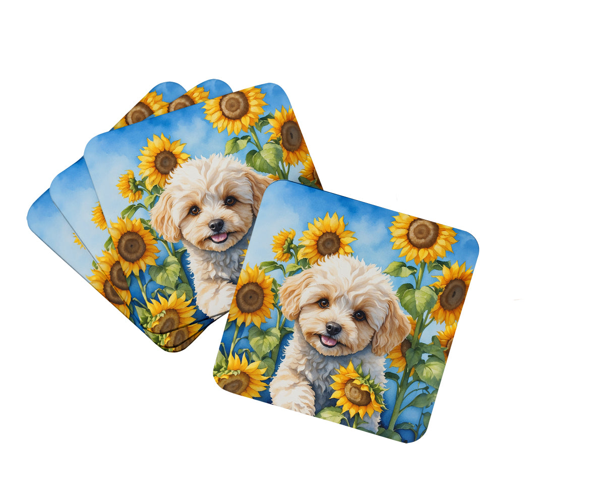 Buy this Maltipoo in Sunflowers Foam Coasters