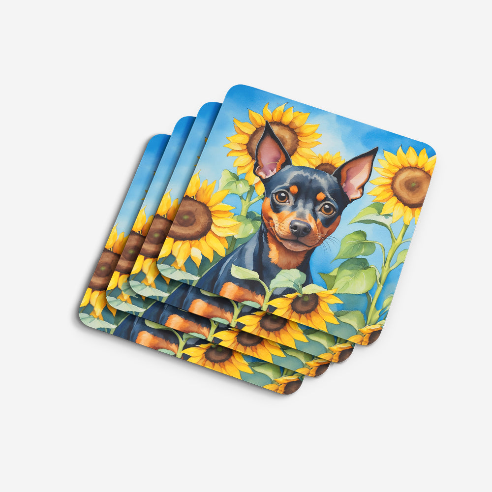 Miniature Pinscher in Sunflowers Foam Coasters