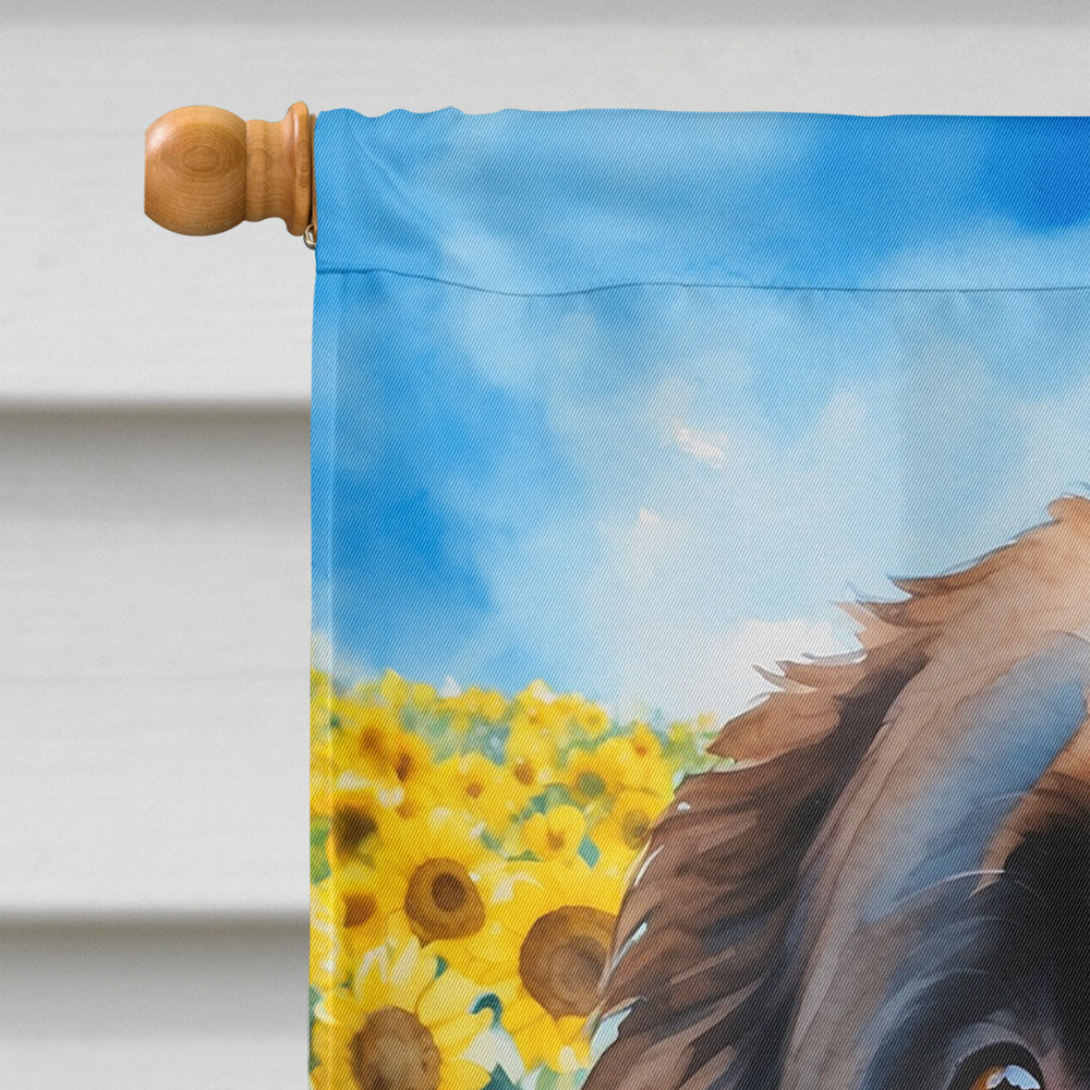 Newfoundland in Sunflowers House Flag
