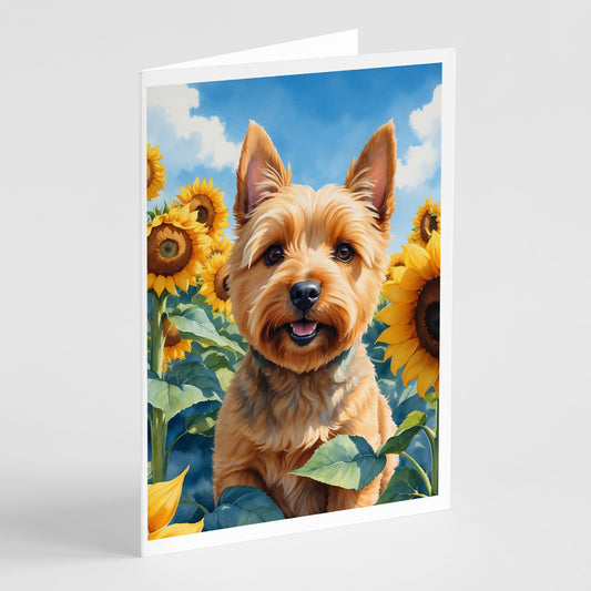 Buy this Norwich Terrier in Sunflowers Greeting Cards Pack of 8