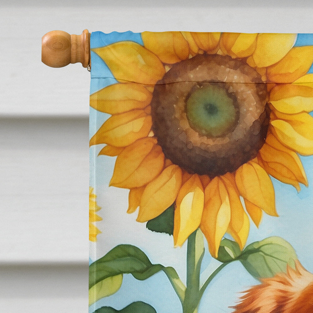 Nova Scotia Duck Toller in Sunflowers House Flag