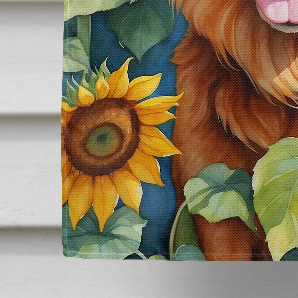 Nova Scotia Duck Toller in Sunflowers House Flag