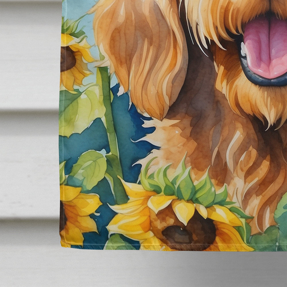 Otterhound in Sunflowers House Flag