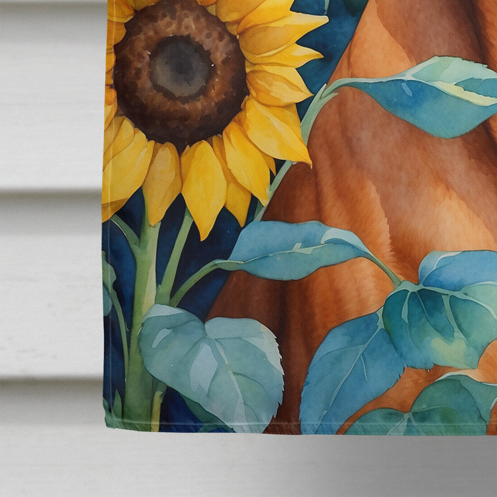 Rhodesian Ridgeback in Sunflowers House Flag