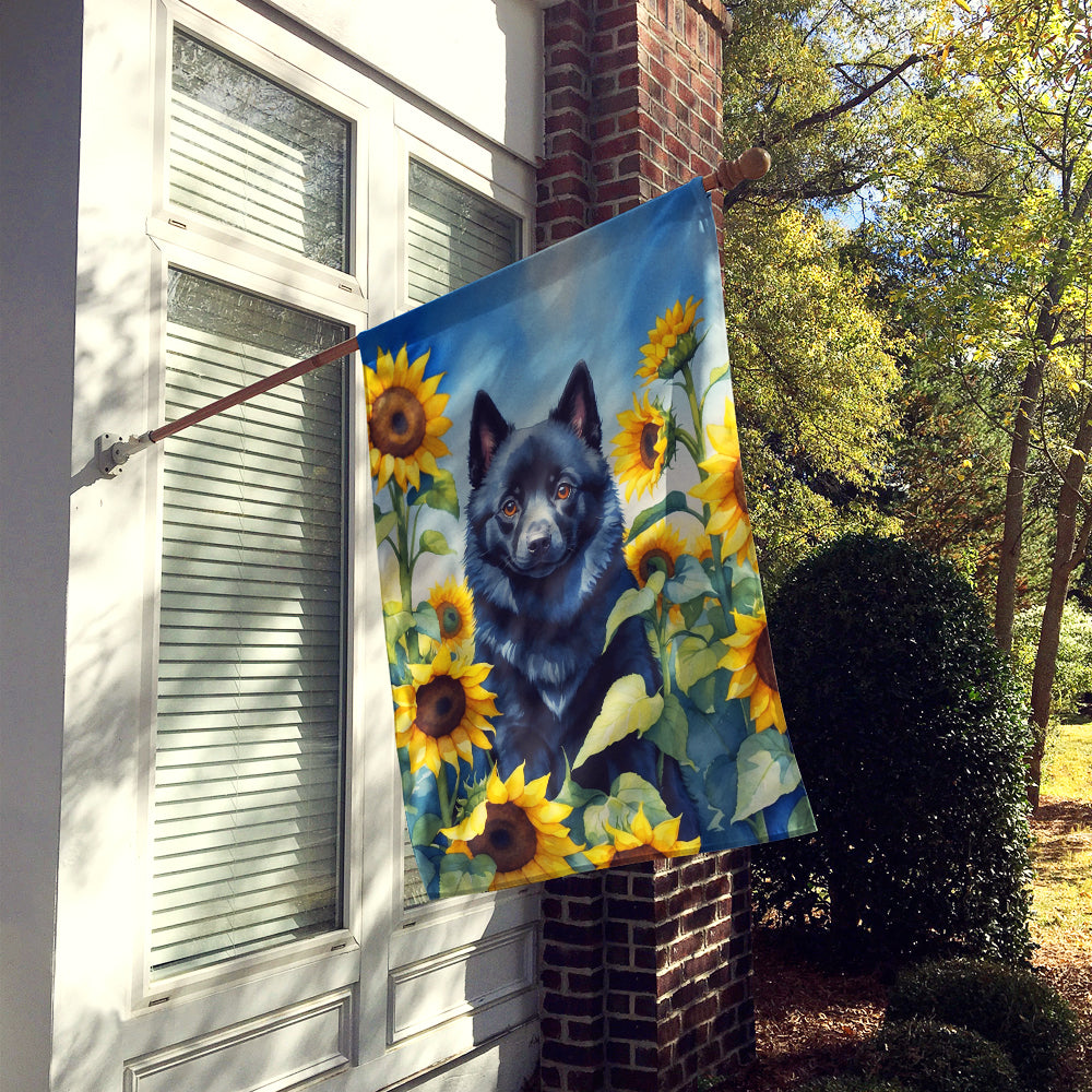 Schipperke in Sunflowers House Flag