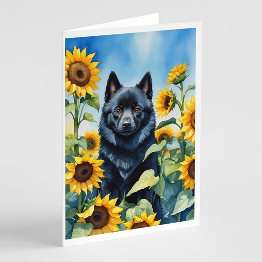 Buy this Schipperke in Sunflowers Greeting Cards Pack of 8