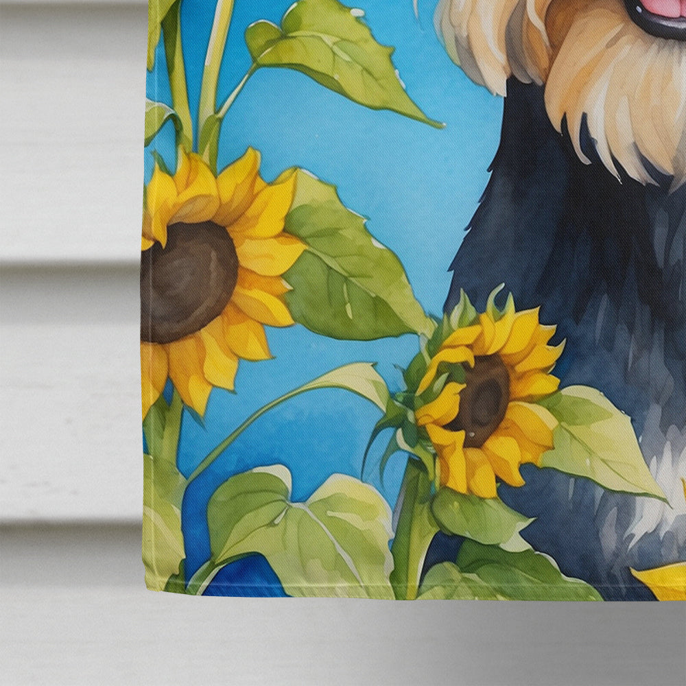 Schnauzer in Sunflowers House Flag